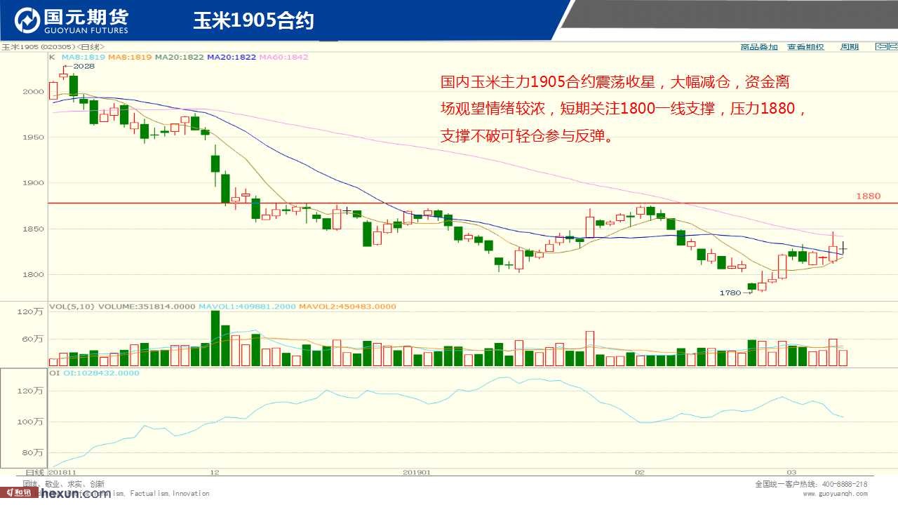 ��һ���ף�3��11���ڻ�����ͼ��